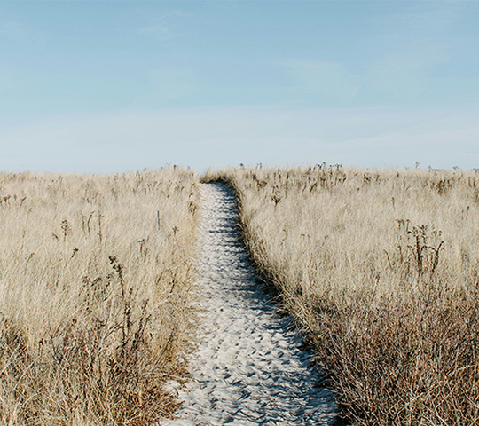 A sandy beachside walkway leading down to the beach.